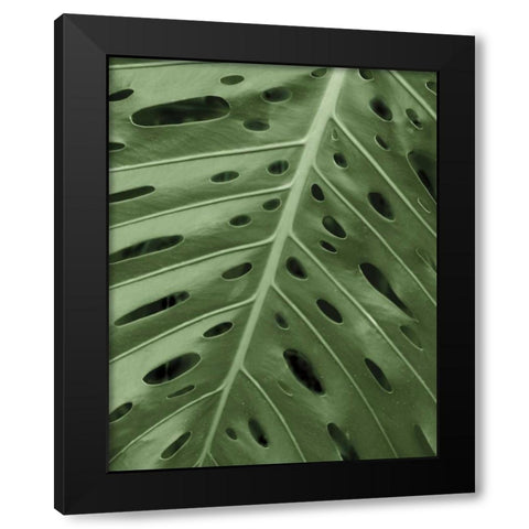 Tropica II Black Modern Wood Framed Art Print by Maihara/Watt, Jeff/Boyce