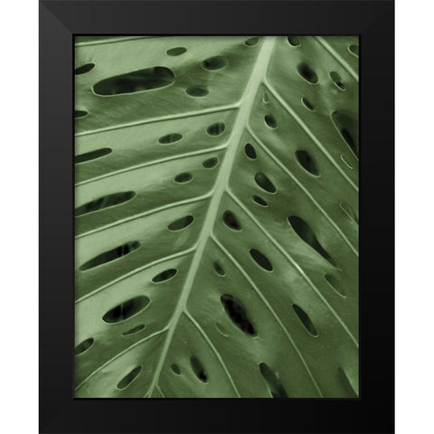 Tropica II Black Modern Wood Framed Art Print by Maihara/Watt, Jeff/Boyce