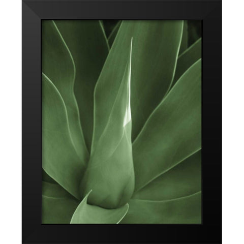 Tropica III Black Modern Wood Framed Art Print by Maihara/Watt, Jeff/Boyce