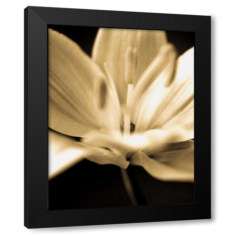 Radiance III Black Modern Wood Framed Art Print by Ryan, Cinzia
