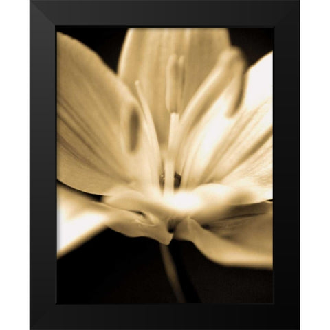 Radiance III Black Modern Wood Framed Art Print by Ryan, Cinzia