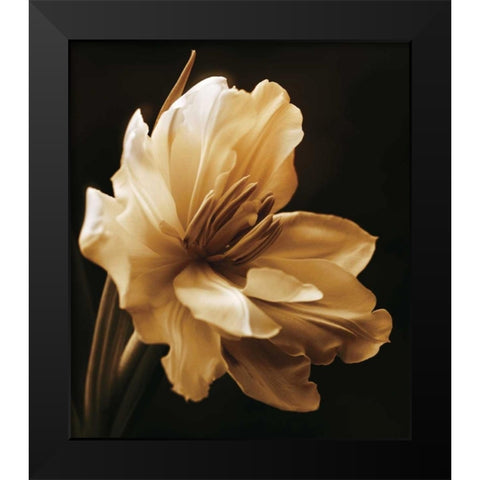 Timeless Grace I Black Modern Wood Framed Art Print by Britt, Charles