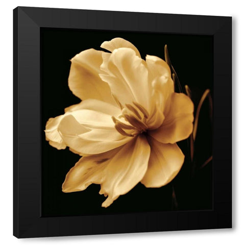 Timeless Grace III Black Modern Wood Framed Art Print by Britt, Charles