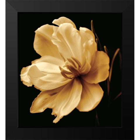 Timeless Grace III Black Modern Wood Framed Art Print by Britt, Charles