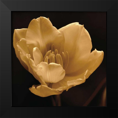 Timeless Grace IV Black Modern Wood Framed Art Print by Britt, Charles