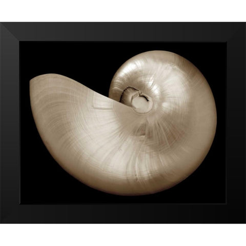 Ocean Keepsake I Black Modern Wood Framed Art Print by Britt, Charles