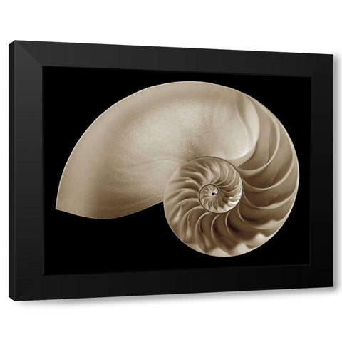 Ocean Keepsake II Black Modern Wood Framed Art Print by Britt, Charles
