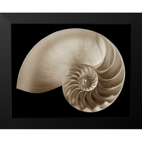 Ocean Keepsake II Black Modern Wood Framed Art Print by Britt, Charles