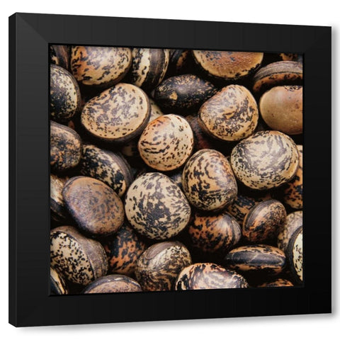 Pebble Textures Black Modern Wood Framed Art Print with Double Matting by Maihara/Watt, Jeff/Boyce