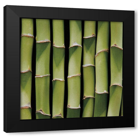 Bamboo Lengths Black Modern Wood Framed Art Print with Double Matting by Maihara/Watt, Jeff/Boyce