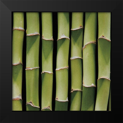 Bamboo Lengths Black Modern Wood Framed Art Print by Maihara/Watt, Jeff/Boyce
