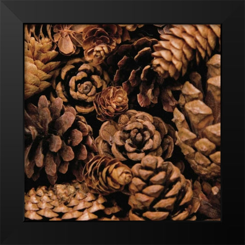 Cone Harvest Black Modern Wood Framed Art Print by Maihara/Watt, Jeff/Boyce