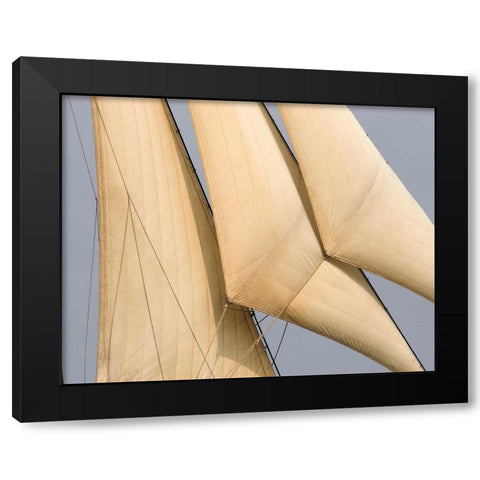 Windward I Black Modern Wood Framed Art Print by LeBlanc, Frederick J.