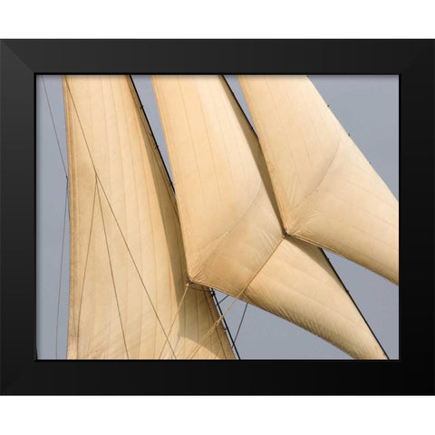 Windward I Black Modern Wood Framed Art Print by LeBlanc, Frederick J.