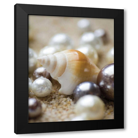 Sea Jewels I Black Modern Wood Framed Art Print with Double Matting by Maihara/Watt, Jeff/Boyce