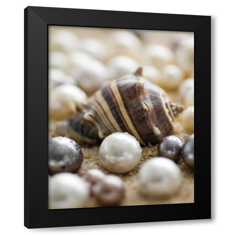 Sea Jewels II Black Modern Wood Framed Art Print with Double Matting by Maihara/Watt, Jeff/Boyce