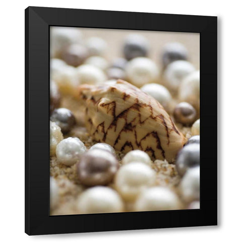Sea Jewels IV Black Modern Wood Framed Art Print by Maihara/Watt, Jeff/Boyce