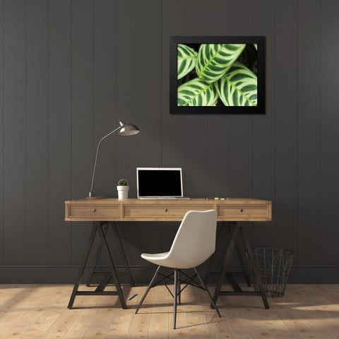 Springtime I Black Modern Wood Framed Art Print by Ryan, Cinzia