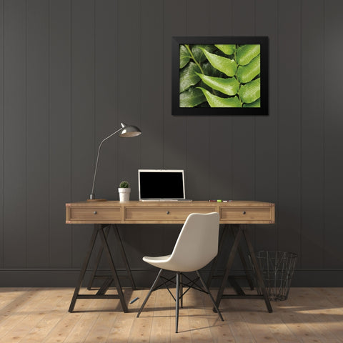 Springtime III Black Modern Wood Framed Art Print by Ryan, Cinzia