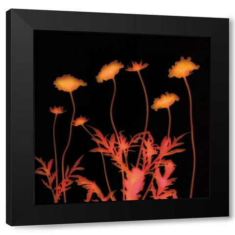 Delight Black Modern Wood Framed Art Print by Jantzer, Ethan