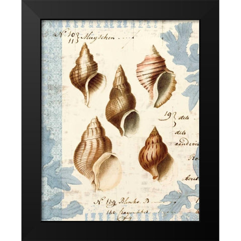 Seashell Collection II Black Modern Wood Framed Art Print by Berg, Sabine