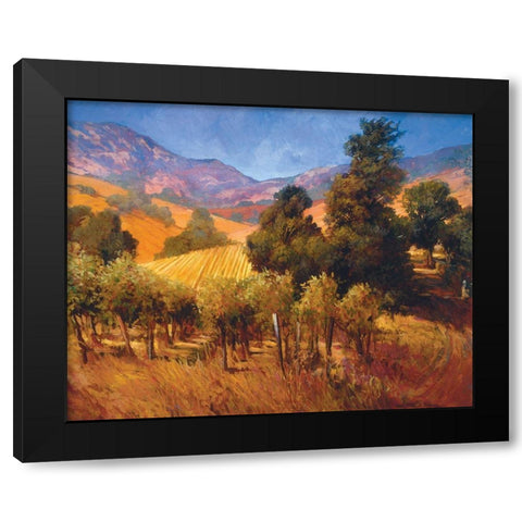 Southern Vineyard Hills Black Modern Wood Framed Art Print with Double Matting by Craig, Philip