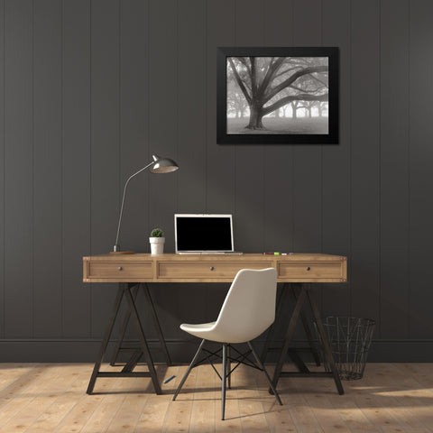 Oak Grove in Fog Black Modern Wood Framed Art Print by Guion, William