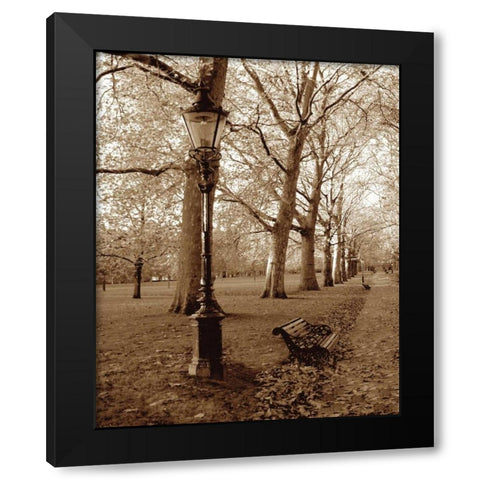 Restful Autumn I Black Modern Wood Framed Art Print with Double Matting by Maihara/Watt, Jeff/Boyce