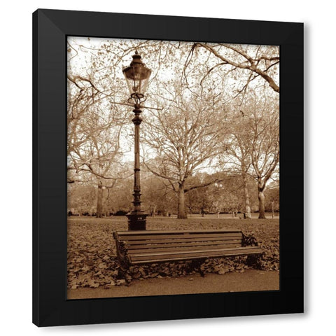 Restful Autumn II Black Modern Wood Framed Art Print by Maihara/Watt, Jeff/Boyce