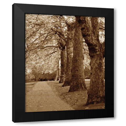 Autumn Stroll I Black Modern Wood Framed Art Print by Maihara/Watt, Jeff/Boyce