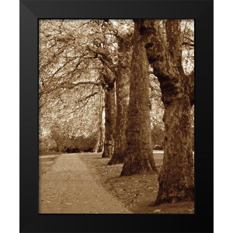 Autumn Stroll I Black Modern Wood Framed Art Print by Maihara/Watt, Jeff/Boyce