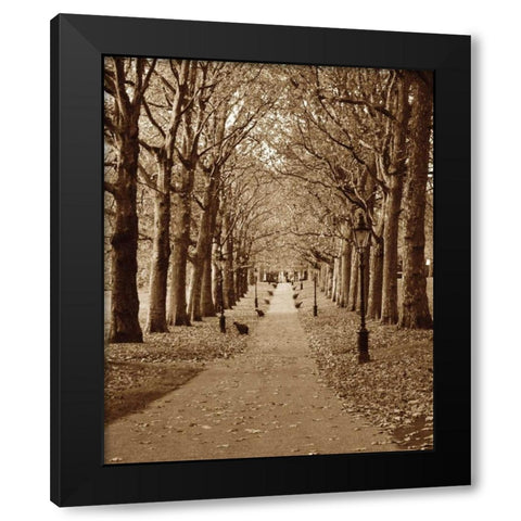Autumn Stroll II Black Modern Wood Framed Art Print by Maihara/Watt, Jeff/Boyce