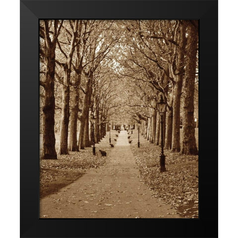 Autumn Stroll II Black Modern Wood Framed Art Print by Maihara/Watt, Jeff/Boyce