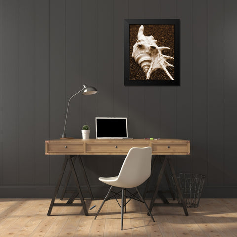 Sea Gallery I Black Modern Wood Framed Art Print by Maihara/Watt, Jeff/Boyce