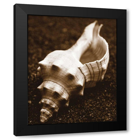 Sea Gallery III Black Modern Wood Framed Art Print with Double Matting by Maihara/Watt, Jeff/Boyce
