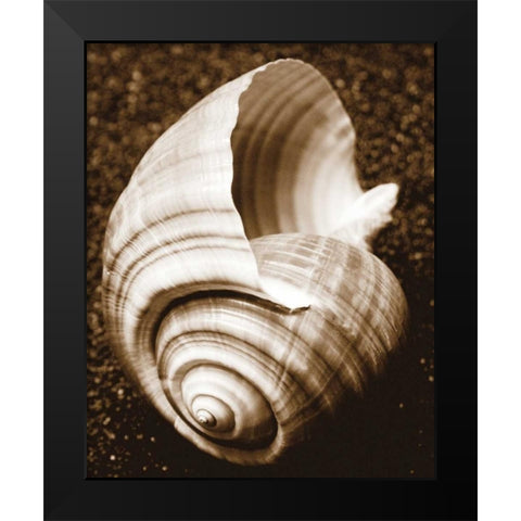 Sea Gallery IV Black Modern Wood Framed Art Print by Maihara/Watt, Jeff/Boyce