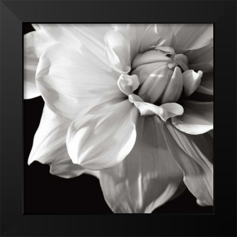 Sunburst III Black Modern Wood Framed Art Print by Maihara/Watt, Jeff/Boyce