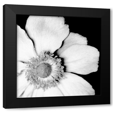 Sunburst IV Black Modern Wood Framed Art Print with Double Matting by Maihara/Watt, Jeff/Boyce