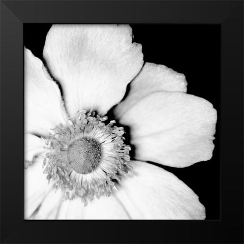 Sunburst IV Black Modern Wood Framed Art Print by Maihara/Watt, Jeff/Boyce