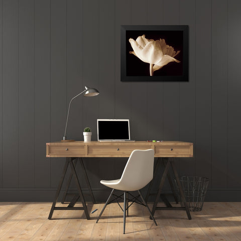 Champagne Tulip IV Black Modern Wood Framed Art Print by Britt, Charles