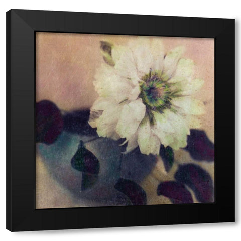 Natures Blossoms I Black Modern Wood Framed Art Print with Double Matting by Friedman, Susan