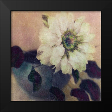 Natures Blossoms I Black Modern Wood Framed Art Print by Friedman, Susan