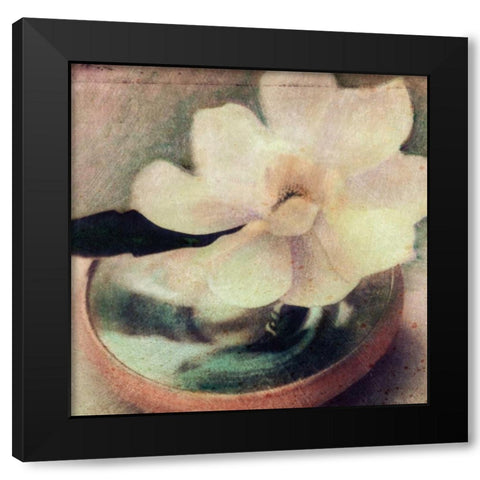 Natures Blossoms III Black Modern Wood Framed Art Print with Double Matting by Friedman, Susan