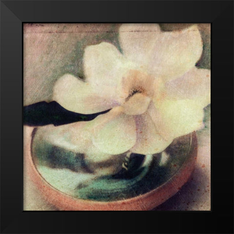 Natures Blossoms III Black Modern Wood Framed Art Print by Friedman, Susan