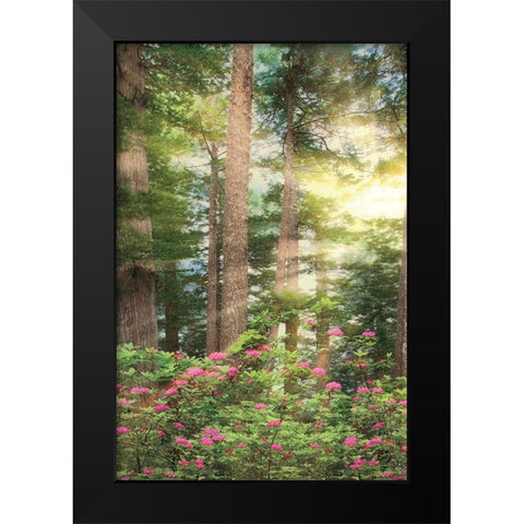 Rise n Shine II Black Modern Wood Framed Art Print by Frates, Dennis
