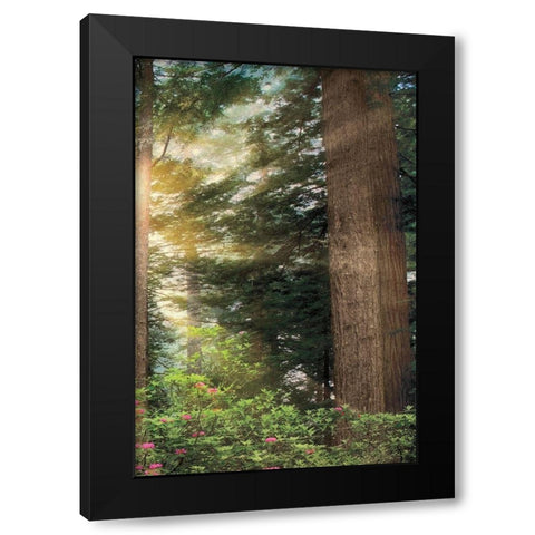 Rise n Shine III Black Modern Wood Framed Art Print by Frates, Dennis