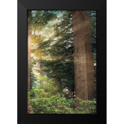 Rise n Shine III Black Modern Wood Framed Art Print by Frates, Dennis