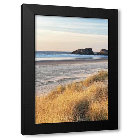 Dune Grass and Beach I Black Modern Wood Framed Art Print by Frates, Dennis