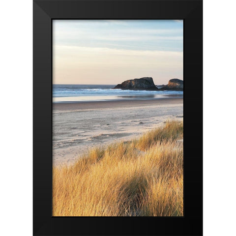 Dune Grass and Beach I Black Modern Wood Framed Art Print by Frates, Dennis
