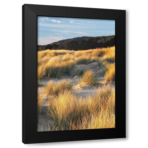 Dune Grass and Beach III Black Modern Wood Framed Art Print with Double Matting by Frates, Dennis